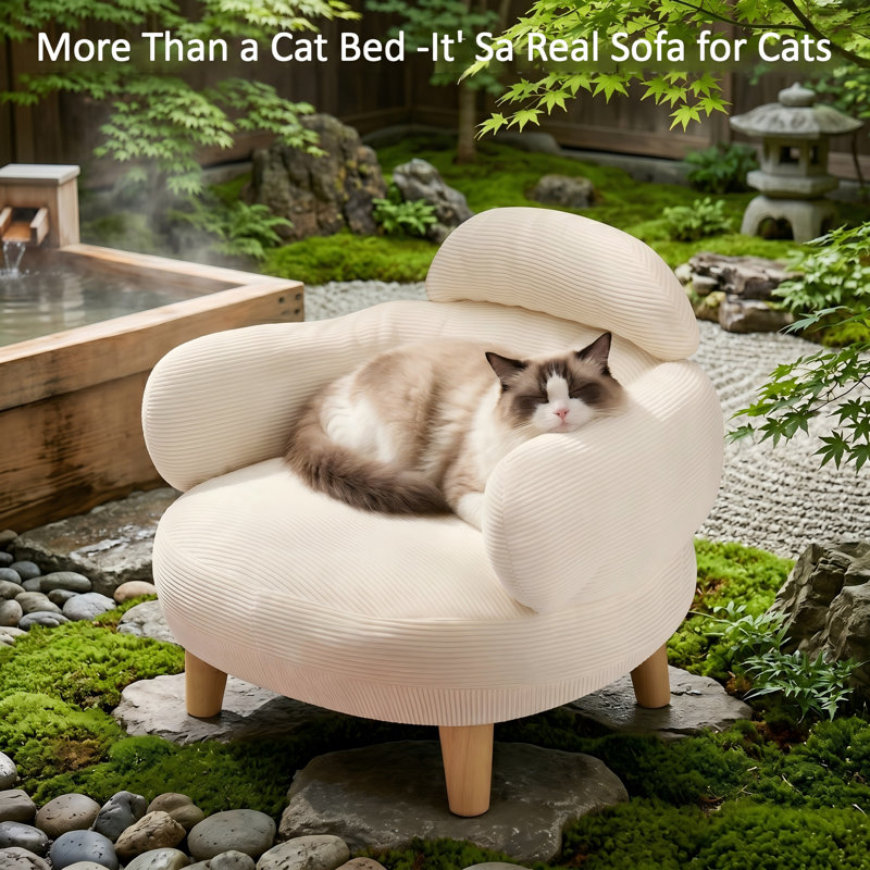 Canapé-lit pour chat de style mobilier avec housse en velours de coton amovible et pieds en bois de pin massif, pour chats et petits chiens, blanc