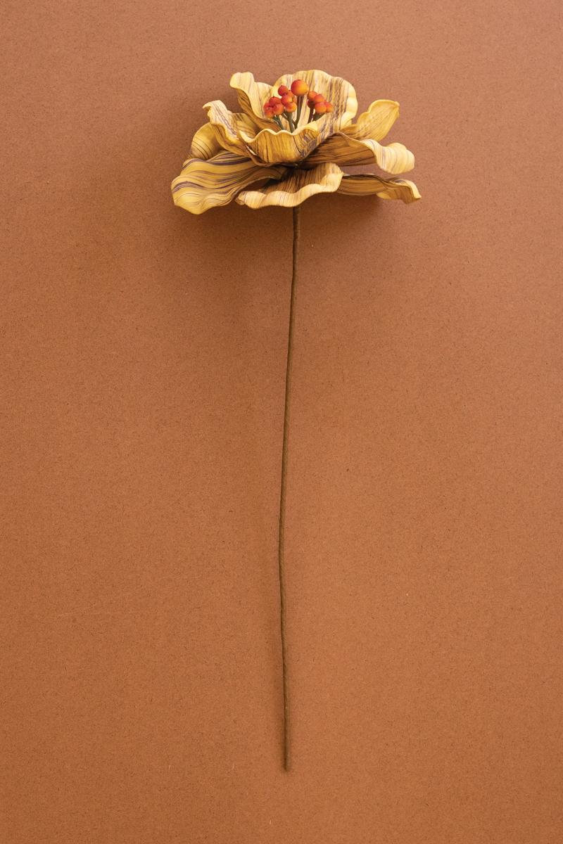 Magnolia Floral Stems