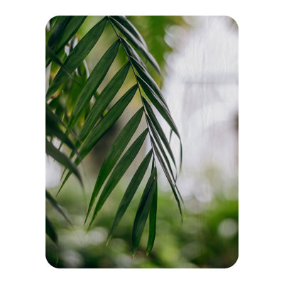 Domique Blanket