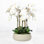 Silk Orchid Centerpiece Arrangement