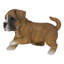 Statue de jeu boxer chiot