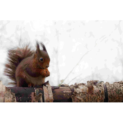 " Red Squirrel " by Joe Reynolds