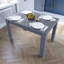 Iriemi Dining Table-398440643-331183646