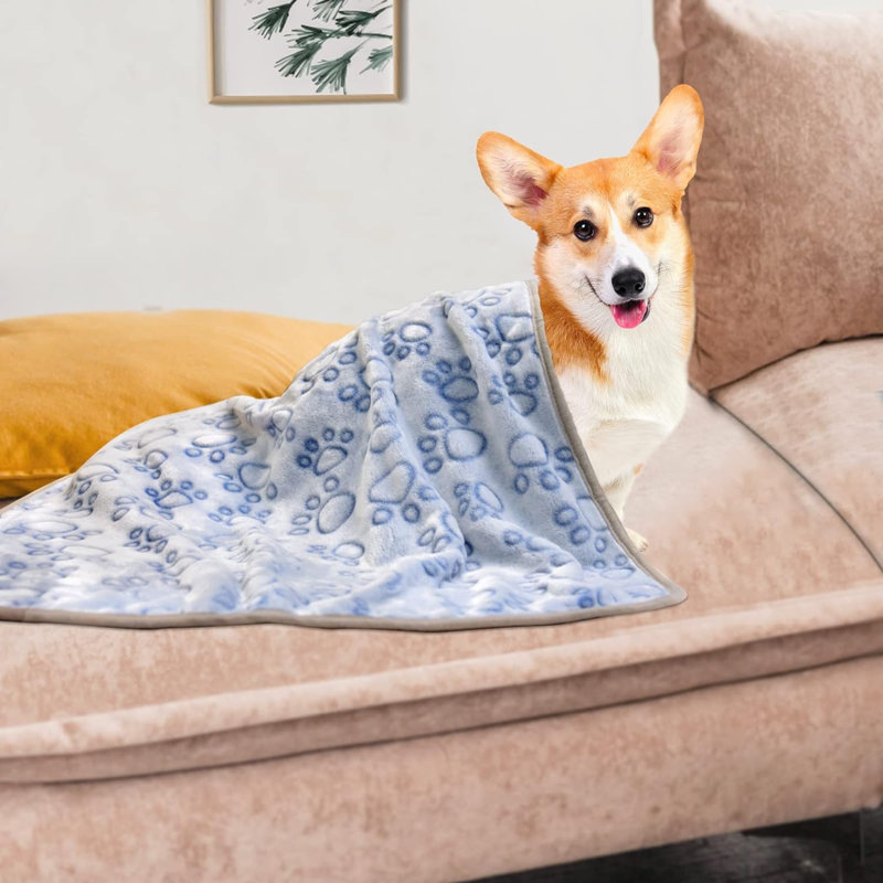Animal Print Outdoor Fleece / Microfiber Pet Blanket, 23" L x 16" W, Gray/Blue