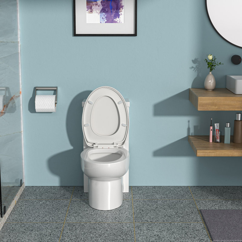 Toilette en céramique une pièce, double chasse avec siège à fermeture en douceur