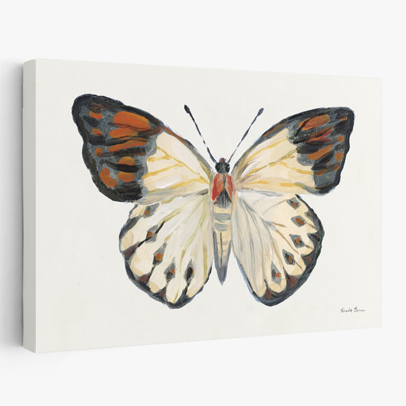 Étude de papillons bohémiens et rétro I, H 36 po x l 24 po