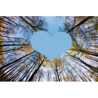 Perouge Autumn Tree Tops par - Photographie de toile tendue