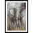 Black Framed selected
