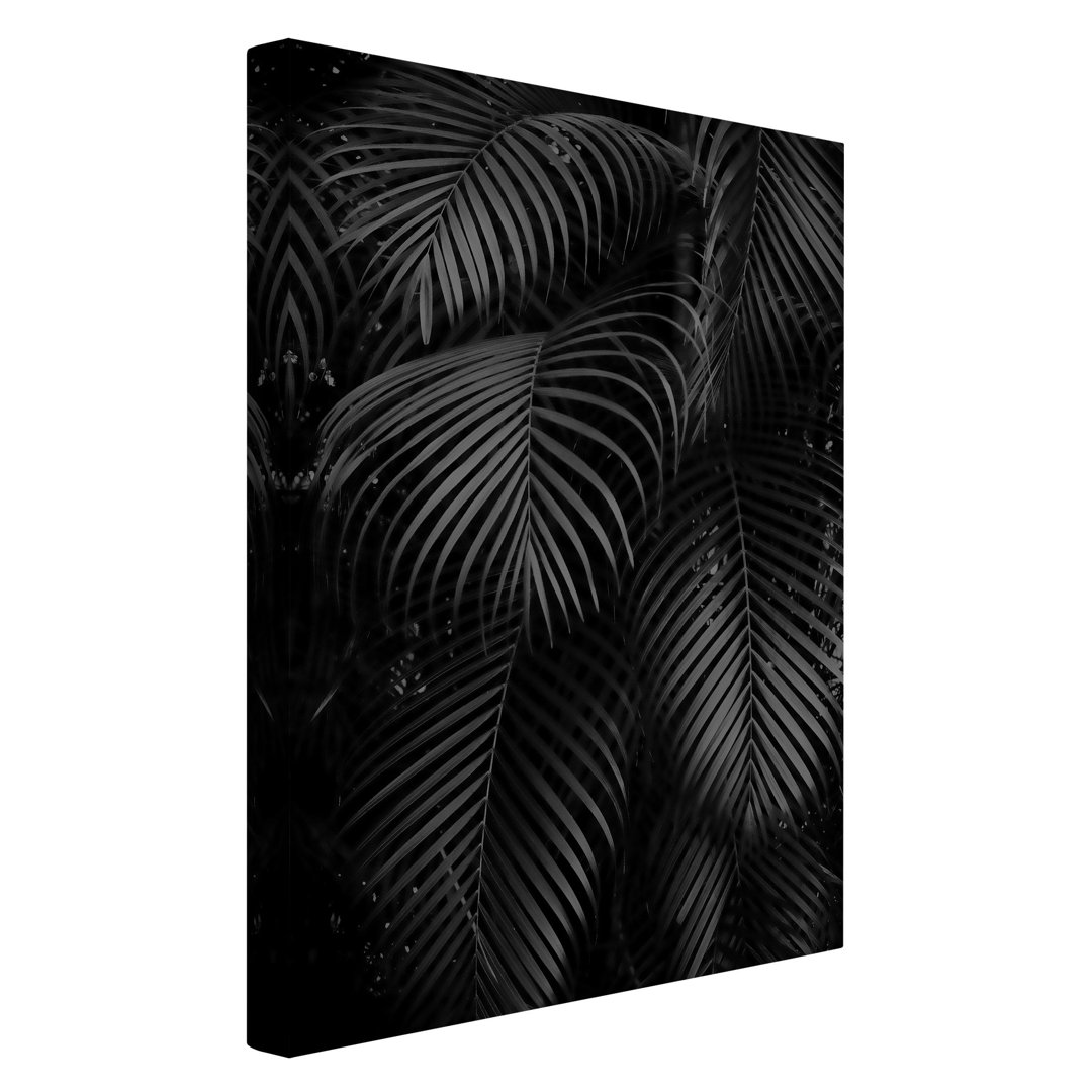 Leinwandbild Black Palm Fronds