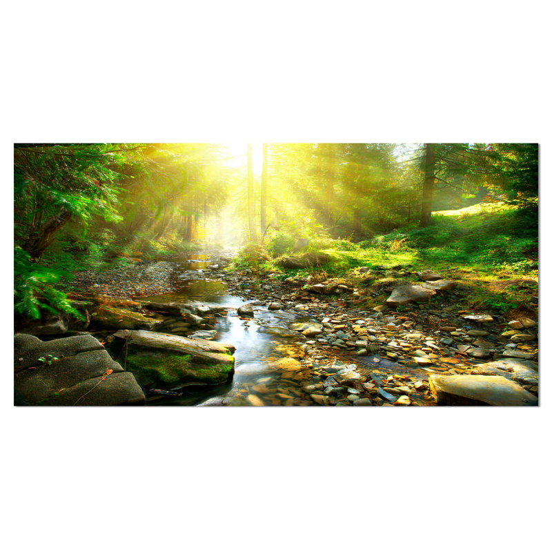 Mountain Stream in Forest Landscape Canvas Print