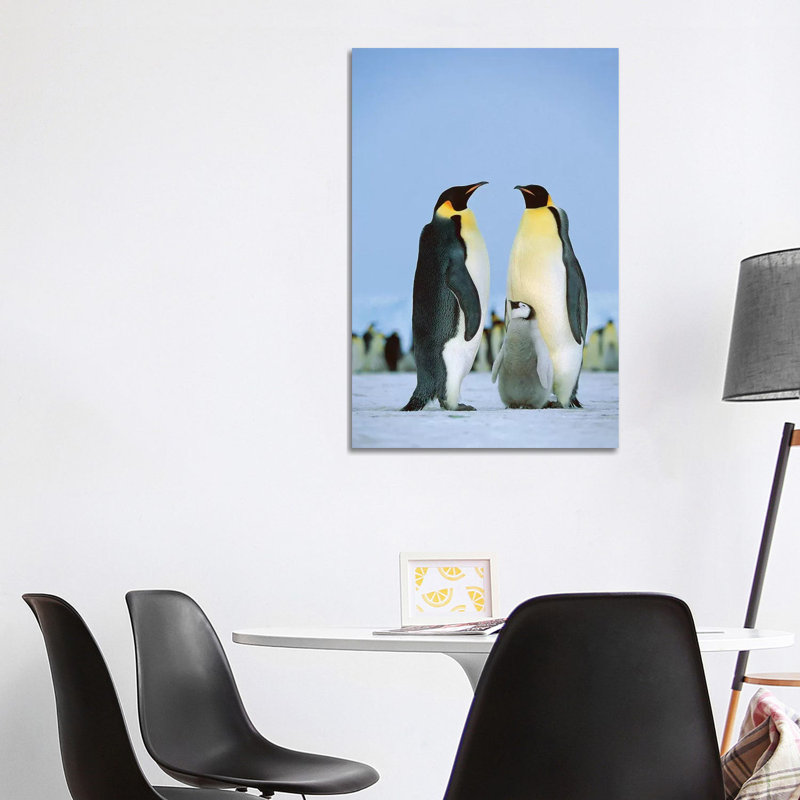 Emperor Penguin Family, Antarctica by Konrad Wothe - Wrapped Canvas Print, 101.6 cm H x 66.04 cm W