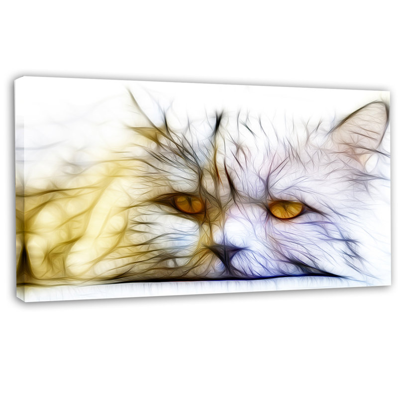 « jolie white cat », reproduction d’art sur toile tendue, H 28 po x l 60 po