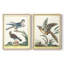 Pastel Birds III - reproduction encadrée de qualité supérieure - prête à être accrochée - aucun clou requis - aucun clou requis-408530412-408530411