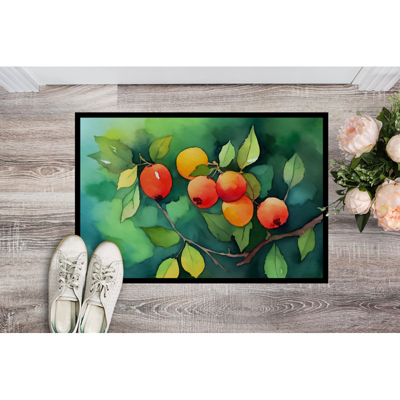 Hivernage Non-Slip Doormat, 18" W x 27" L