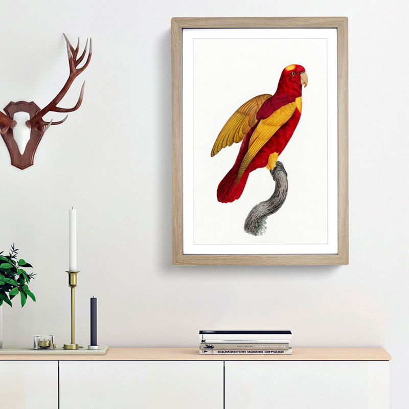 Red-and-Gold Lory by F. Levaillant - Picture Frame Painting Print, 36cm H x 27cm W x 2cm D, Oak Framed