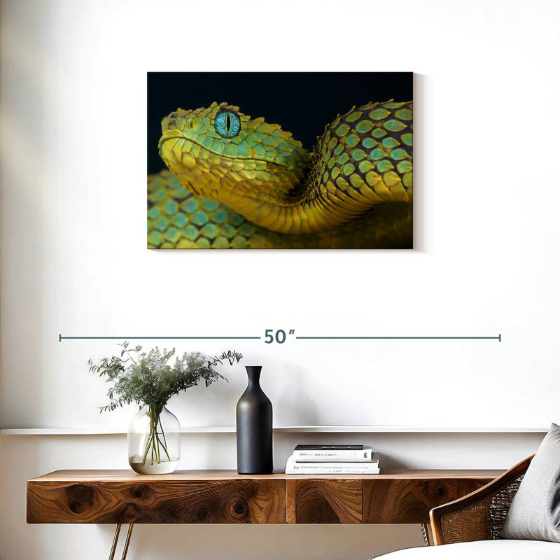 African Bush Viper, 20" H x 30" W