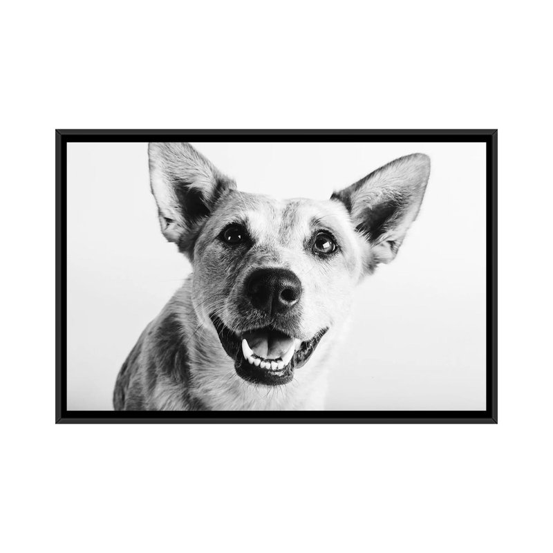 «Irma», reproduction de photo sur toile, H 18 po x l 26 po x P 1,5 po, Toile avec cadre noir, Pas de tapis