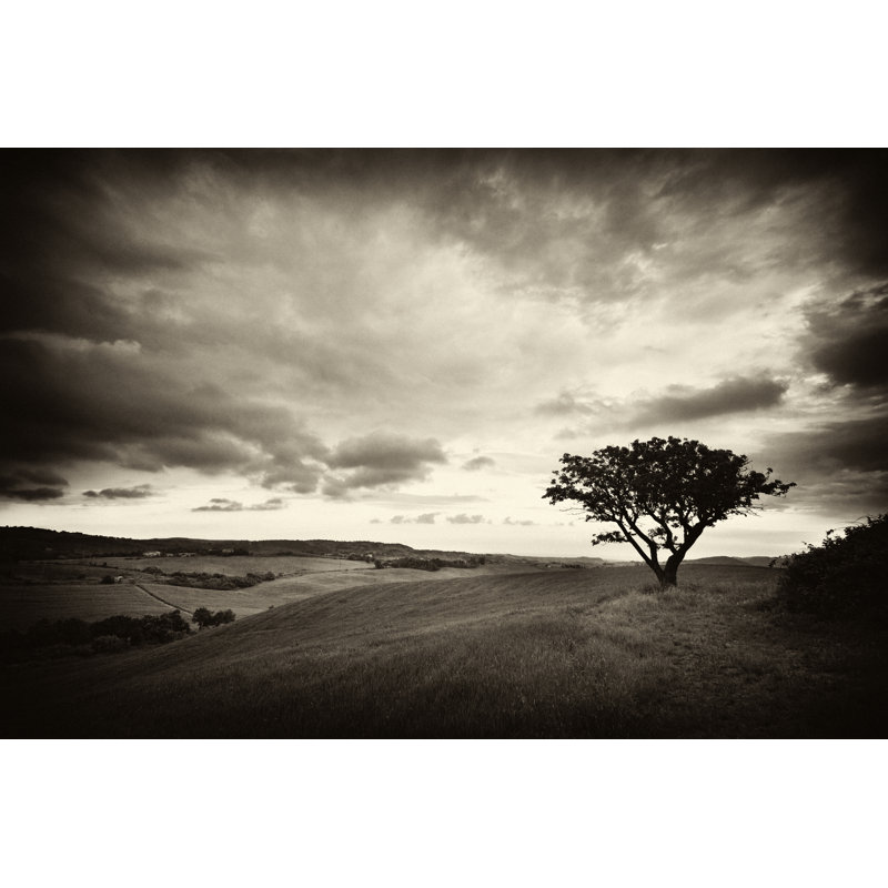 Arbre solitaire par Alle12, H 24 po x l 36 po