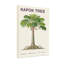 «Kapok Plants & Flowers», impression botanique-2043666115-2043666112-2043666118