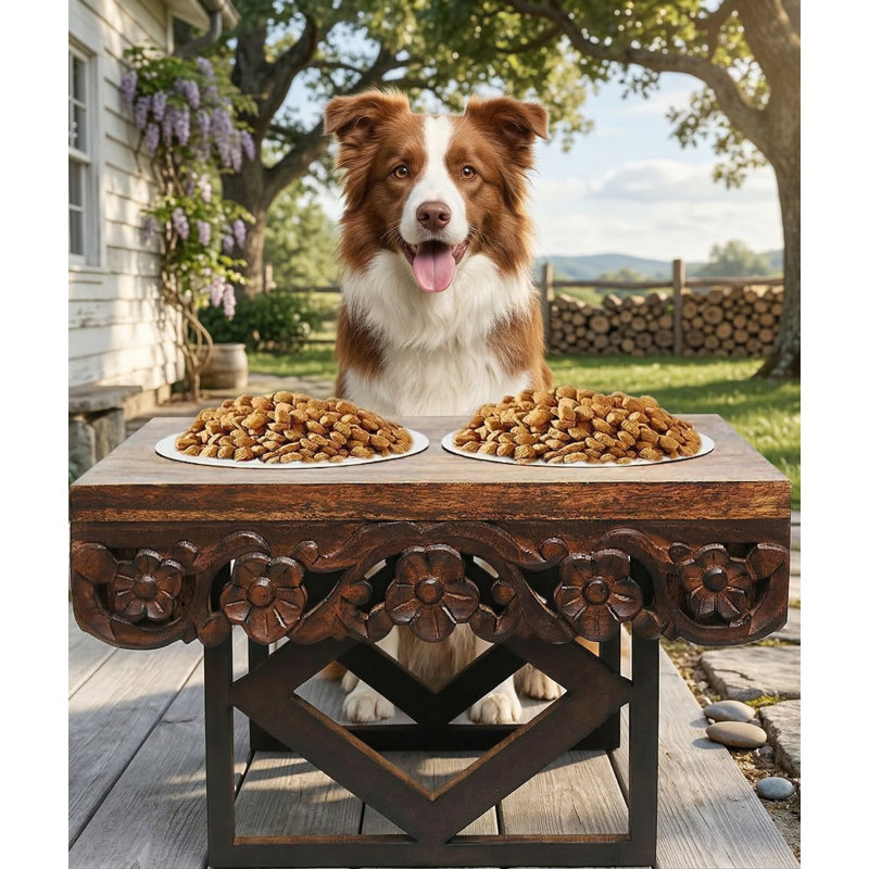 Socle en bois sculpté pour animaux avec 2 bols en acier inoxydable, 3 bols réglables pour chien