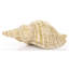 Godeus Decorative Object