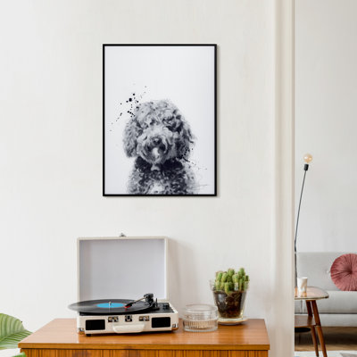 Labradoodle - cadre photo, impression sur verre