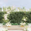 220cm W x 45cm D Steel Arbour in Gold