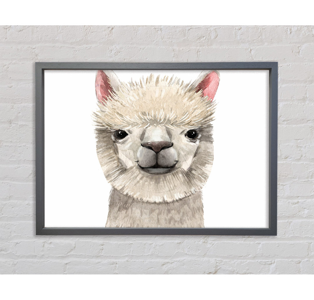 Llama Drama - Einzelner Bilderrahmen Kunstdrucke auf Leinwand