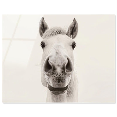 Reproduction acrylique «Playful Pony Western» par Notoriart