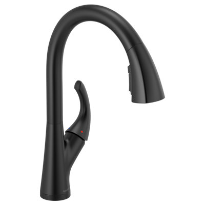 Peerless Parkwood Pull Down Kitchen Faucet