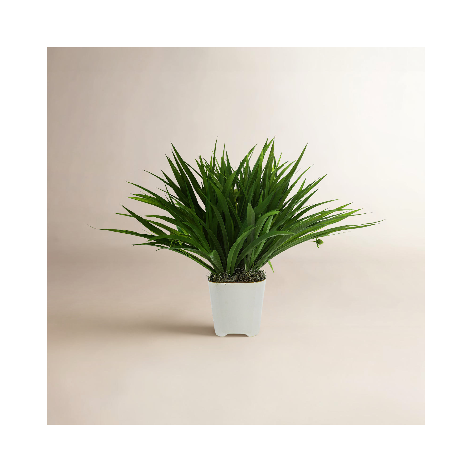 Faux Grass Plant in Fiberstone Pot