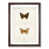 Walnut Framed