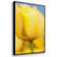 Jaune soleil I 3 pièces-526785691-526785694