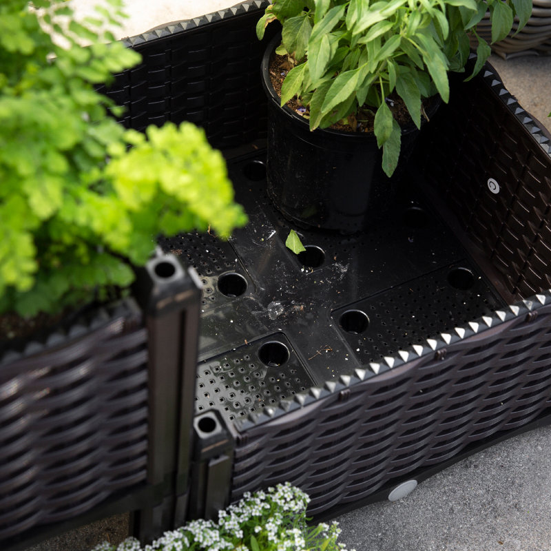 Boettcher Elevated Planter