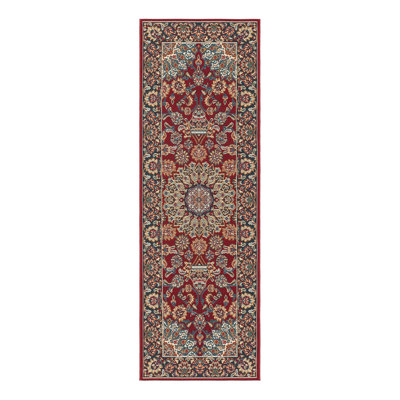 Indoor/Outdoor Traditional Area Rug