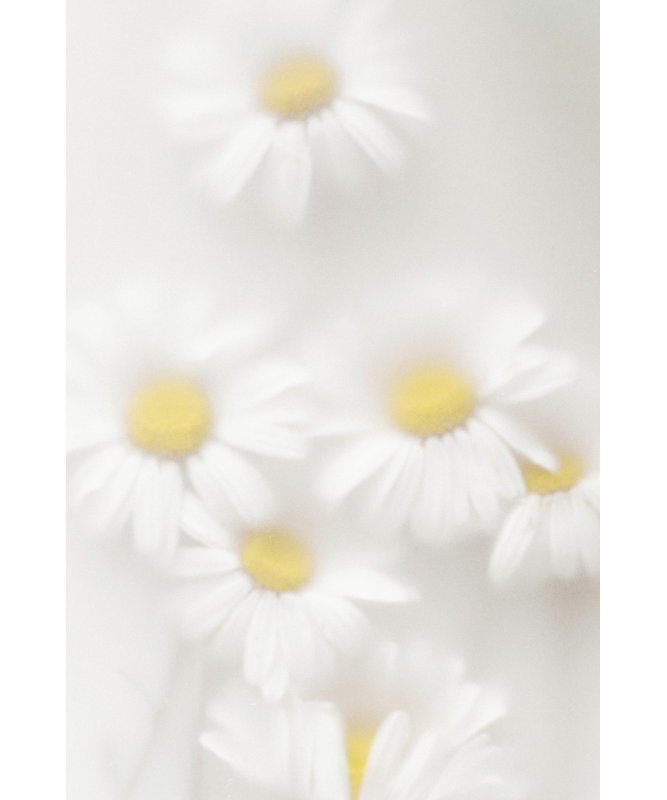 Wrapped Canvas Print, 91.44 cm H x 60.96 cm W