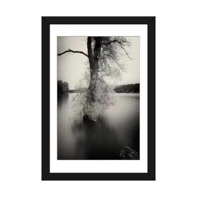 " Surfactant " by Geoffrey Ansel Agrons