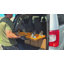 Chariot poussoir, chariot pliable, 330 lb, poussoir