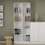 Leo Minor 203cm H x 41cm W Standard Bookcase-15810900-107733542