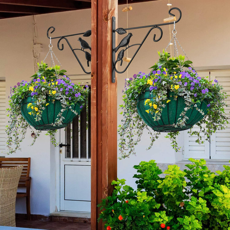Ensemble de 2 plantes suspendues Alverto