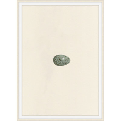 Unhatched 5 Framed Print