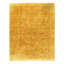 Oriental Area Rug in Gold
