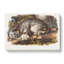 Canadian Lynx by J.W. Audubon - Wrapped Canvas-55370908