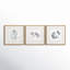 Peinture encadrée, 3 pièces