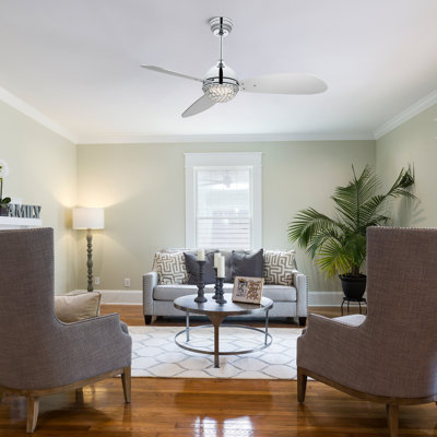 Friedmut 48'' Ceiling Fan with LED Lights