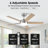 Vaczon 48" Modern Smart Dimmable Ceiling Fan with 3CCT LED Lights, 6-Speed Reversible DC Motor, Timer, Remote and App Control-2017049166