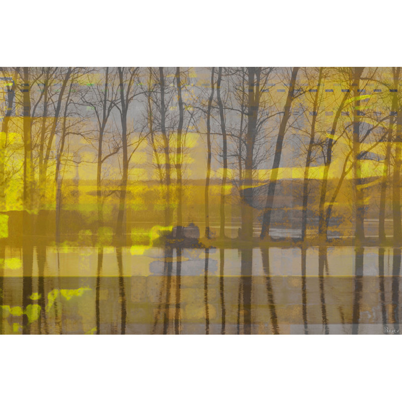 Parvez Taj - Wrapped Canvas Print, 76cm H x 114cm W x 5cm D