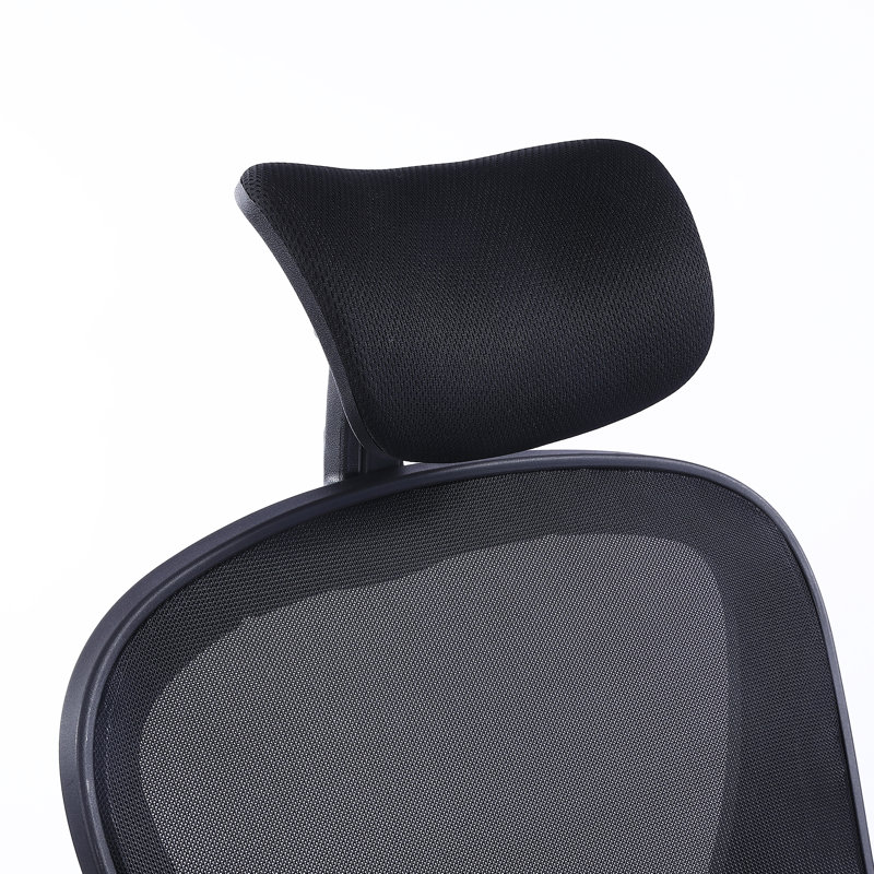 Chaise de bureau ergonomique Kourtne, Noir