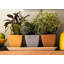 Astaire Pot Planter