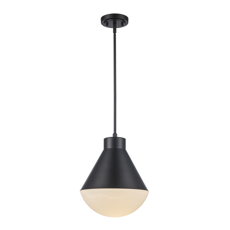 Luminaire suspendu simple à 1 lumière Ebbi, Noir